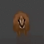 Zitx_